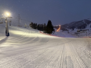 現在のダイナランド