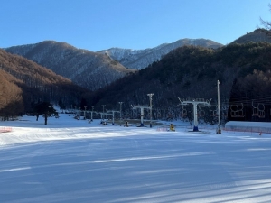 今日のロイヤルクリスティー