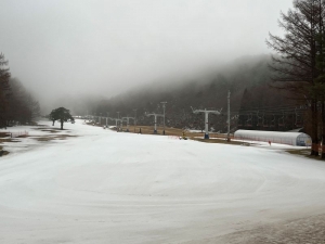 今日のロイヤルクリスティー