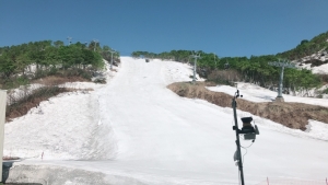 5月19日(日)
8:00頃のゲレンデの様子です。
まだまだ積雪は十分にございます!!